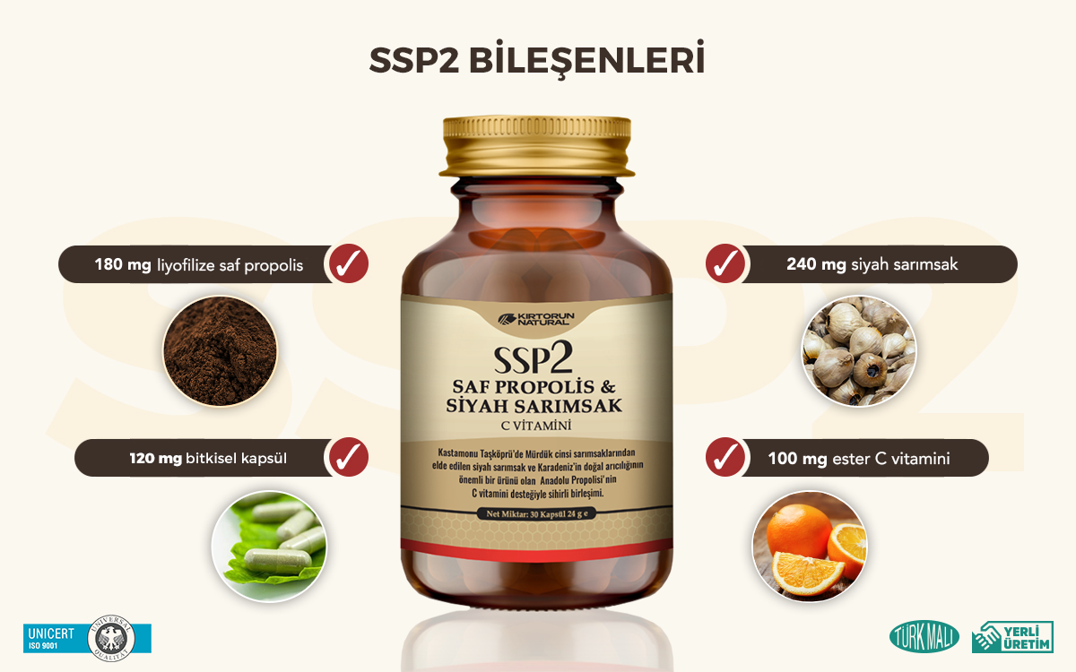 Spp2 Bileşenleri