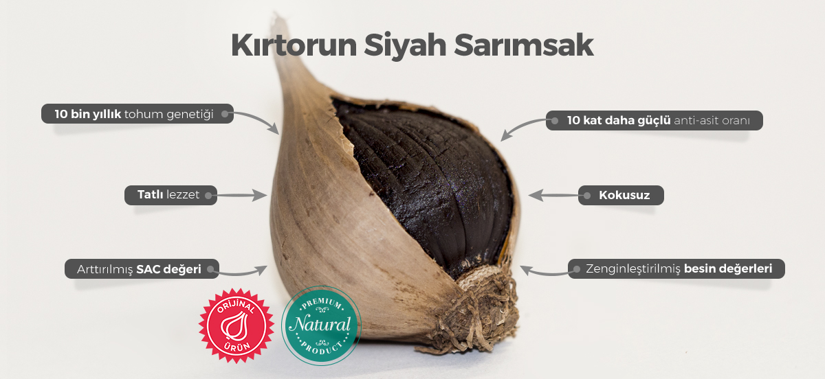 Kirtorun siyah sarimsak